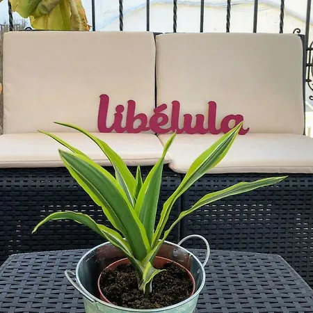 Libelula Chalet