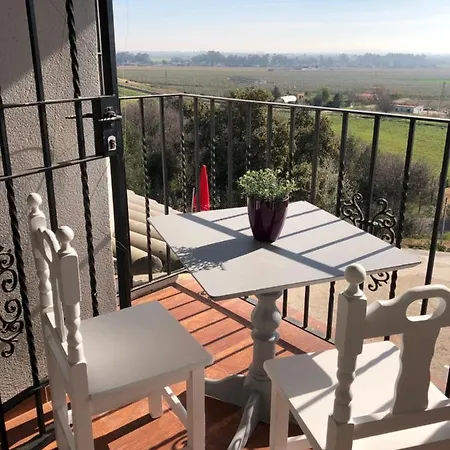 Libelula Chalet Córdoba